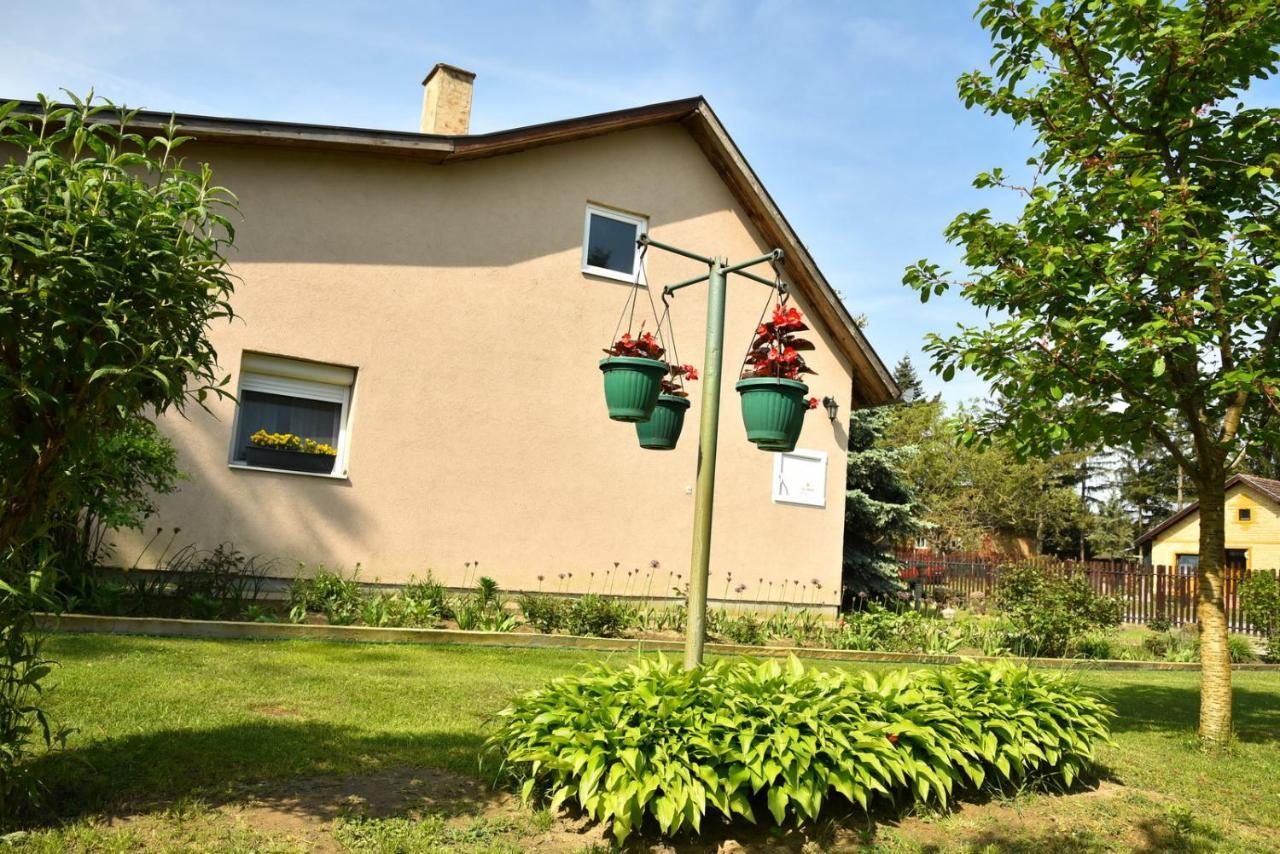 Sobe Masa Guest House Subotica Exterior photo