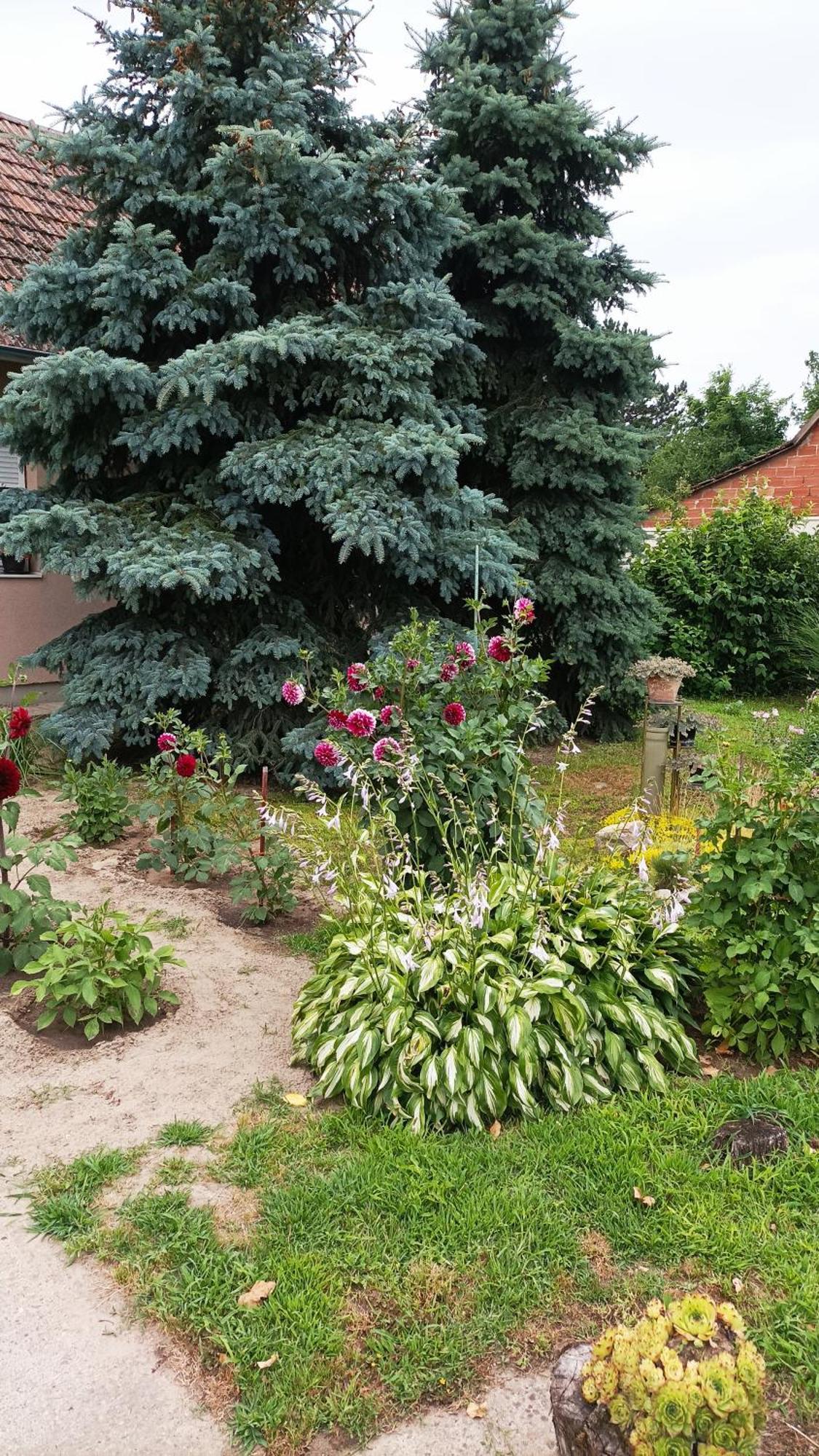 Sobe Masa Guest House Subotica Exterior photo