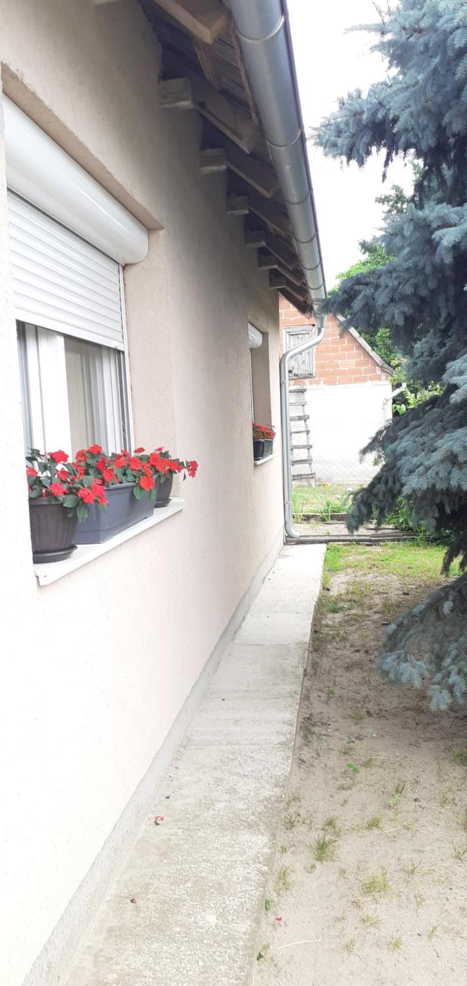 Sobe Masa Guest House Subotica Exterior photo