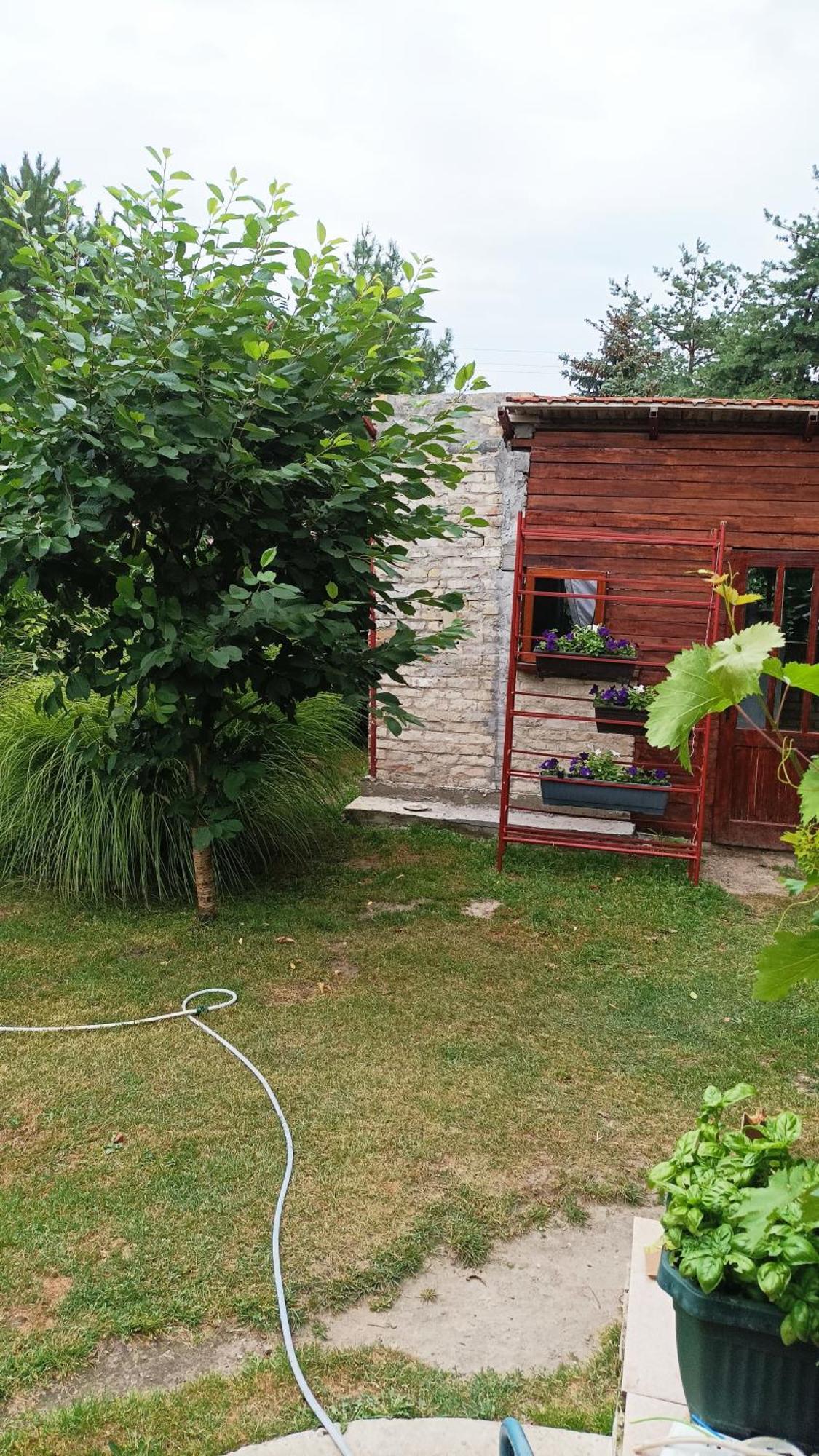 Sobe Masa Guest House Subotica Exterior photo